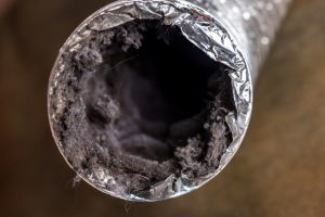 lint-filled-dryer-vent-hose